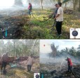 Kebakaran Lahan Terjadi di Parit 24 dan 25 Teluk Merbau, Aparat Desa dan Warga Berjibaku Padamkan Api