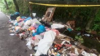 Tumpukan Sampah Berserakan di Belakang Kantor Camat Batu Aji, Warga Keluhkan Aroma tak Sedap dan Gangguan Lingkungan