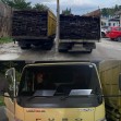 Ditreskrimsus Polda Riau Sita Kayu Ilegal, Dua Sopir Diamankan