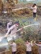 Kapolres Pelalawan Turun Langsung Tangani Karhutla, Dibantu PT RAPP dan BPBD