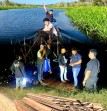 Polres Pelalawan Gagalkan Perambahan Ilog di Kawasan SM Kerumutan, Sita 10 Kubik Kayu
