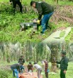 Hilang selama 3 Hari, Petani Ditemukan Membusuk di Kebun Sawit