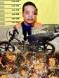 Aksi Pencurian Sawit PT SLS Digagalkan Sekuriti, Pelaku Ditahan di Polsek Kerumutan
