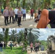 Tim Gabungan Tertibkan Tiga Lokasi Galian C Ilegal di Kualu