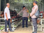 Polsek Lirik Cek Peternakan Ayam Petelur Binaan di Desa Rejosari