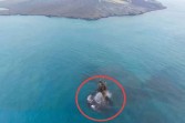 Anak Krakatau Tumbuh Lagi Setelah Runtuh ke Laut
