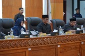Afni: Keterbatasan Fiskal Tidak Mengurangi Komitmen Pemerintah untuk Membangun Daerah