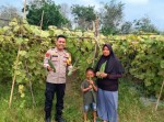 Polsek Rengat Barat Dampingi Petani di Enam Desa Berbeda