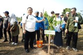 Pemprov Riau Bakal Tanam 1.000 Pohon di Kawasan Stadion Utama