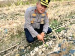 Kapolsek Rengat Barat Bersama Bhabinkamtibmas Laksanakan Pengecekan Lahan Ketahanan Pangan
