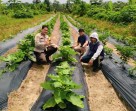 Jadi Ujung Tombak Program Asta Cita Presiden, Bhabinkamtibmas Polsek Rengat Barat Laksanakan Pendampingan Ketahanan Pangan