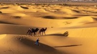 Gurun Sahara Dulu Hijau dan Penuh Hewan