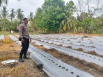 Polsek Rengat Barat Laksanakan Monitoring Tanaman Hortikultura secara Berkala