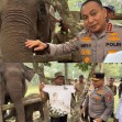 Akhiri Tugas di Polda Riau, Komjen Herry Heryawan Titip Pesan Lestarikan Gajah dan Alam