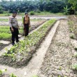 Bhabinkamtibmas Polsek Rengat Barat Tinjau Program Asta Cita Presiden untuk Ketahanan Pangan Nasional