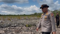 Kapolda Riau Turun Langsung, Gulung Perusak 118 Hektare Mangrove