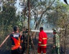 Pantau Hotspot di Riau, Forkopimda Gelar Patroli Udara Karhutla