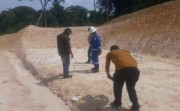 Jejak Harimau Sumatra Terdeteksi di PHR, Tim BBKSDA Turunkan Tim Gabungan
