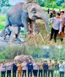 Baru Menjabat, Kapolres Pelalawan  Langsung Tinjau Bayi Gajah di EFS TNTN