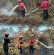 Berjibaku Padamkan Karhutla di Teluk Meranti, PT Arara Abadi Turunkan  Tim RPK