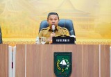 Demi  Tingkatkan PAD dan Infrastruktur, Gubri Wajibkan seluruh Kendaraan Usaha di Riau Berplat BM