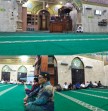 Manusia yang Dikutuk Oleh Allah SWT menjadi Kera. Inilah Penjelasan Ustadz Maulana Yusuf