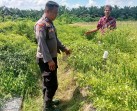Wujudkan Ketahanan Pangan Nasional, Polsek Rengat Barat Laksanakan Monitoring Perkarangan Pangan Bergizi