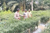 Dukung Asta Cita Presiden, Bhabinkamtibmas Polsek Rengat Barat Aktif Monitoring Ketahanan Pangan