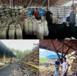 Subdit IV Tipidter Ditreskrimsus Polda Riau Tangkap Dua Cukong, Sita 580 Karung Arang Bakau