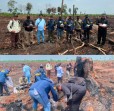 Ungkap Penyebab Kebakaran di Bengkalis, Polda Riau Libatkan Lima Ahli dari Berbagai Bidang